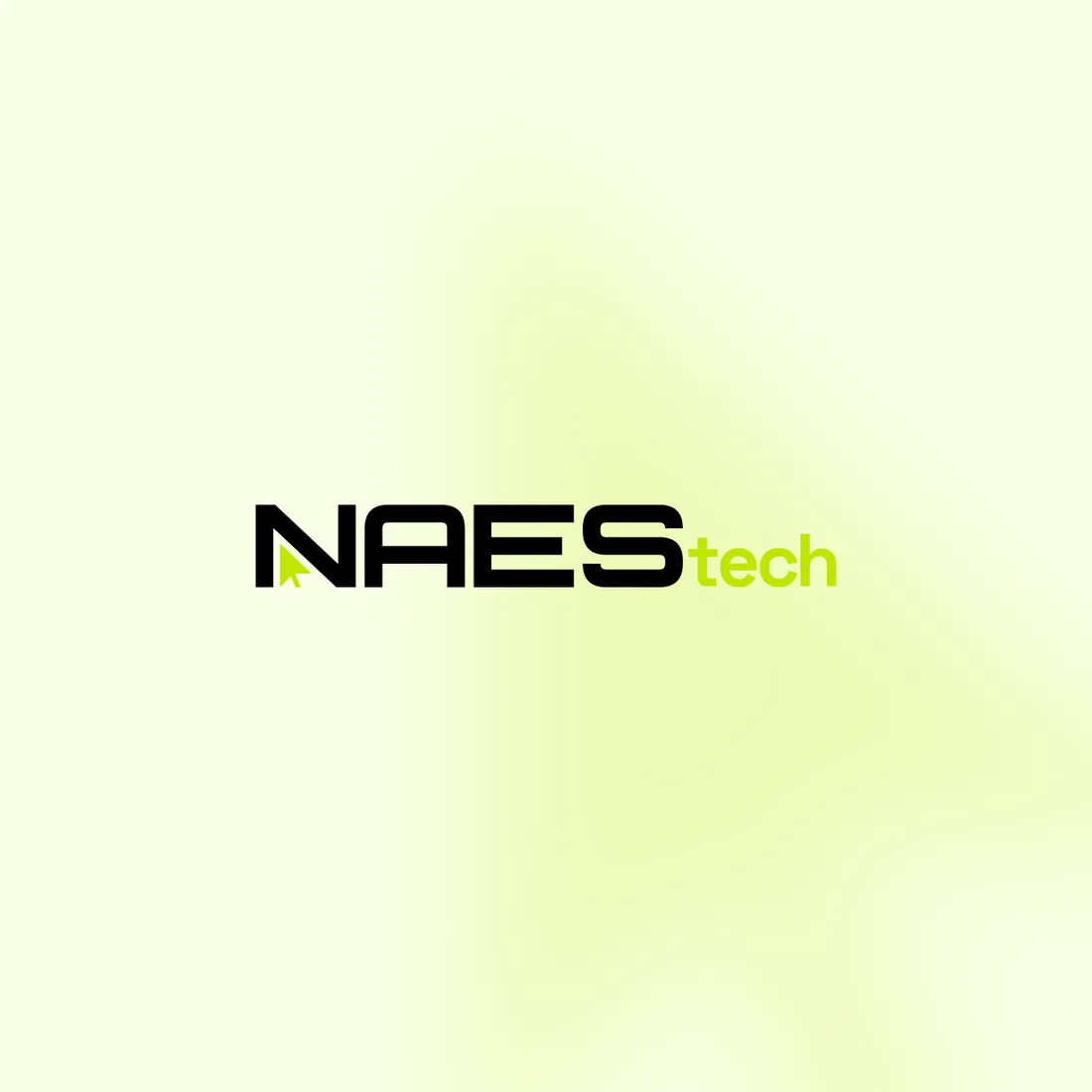 Naes Tech: Profile