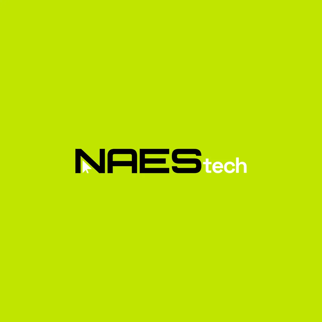Naes Tech: Profile