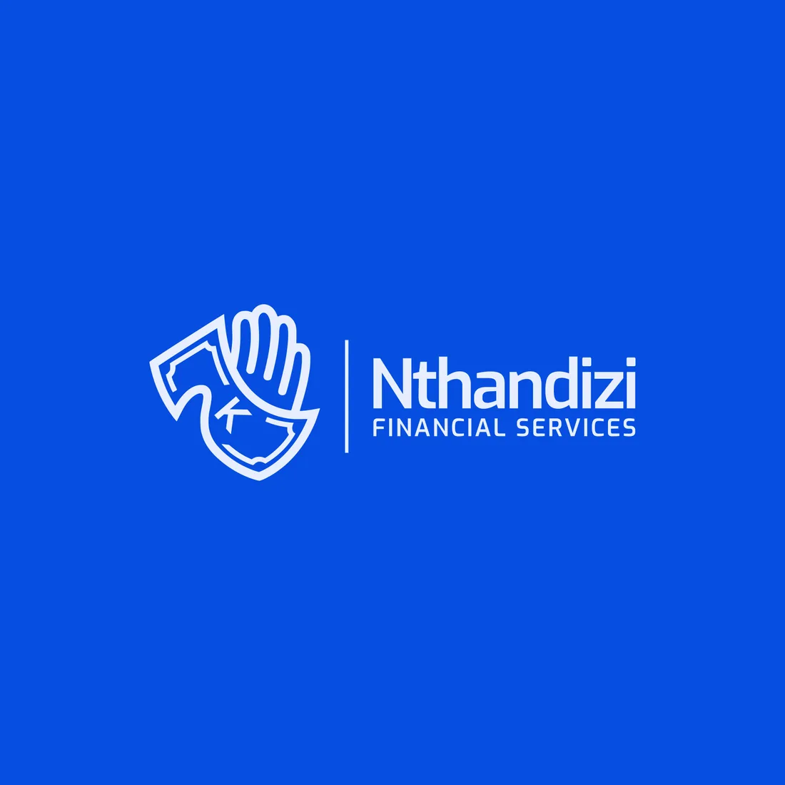Nthandizi Finance: Profile