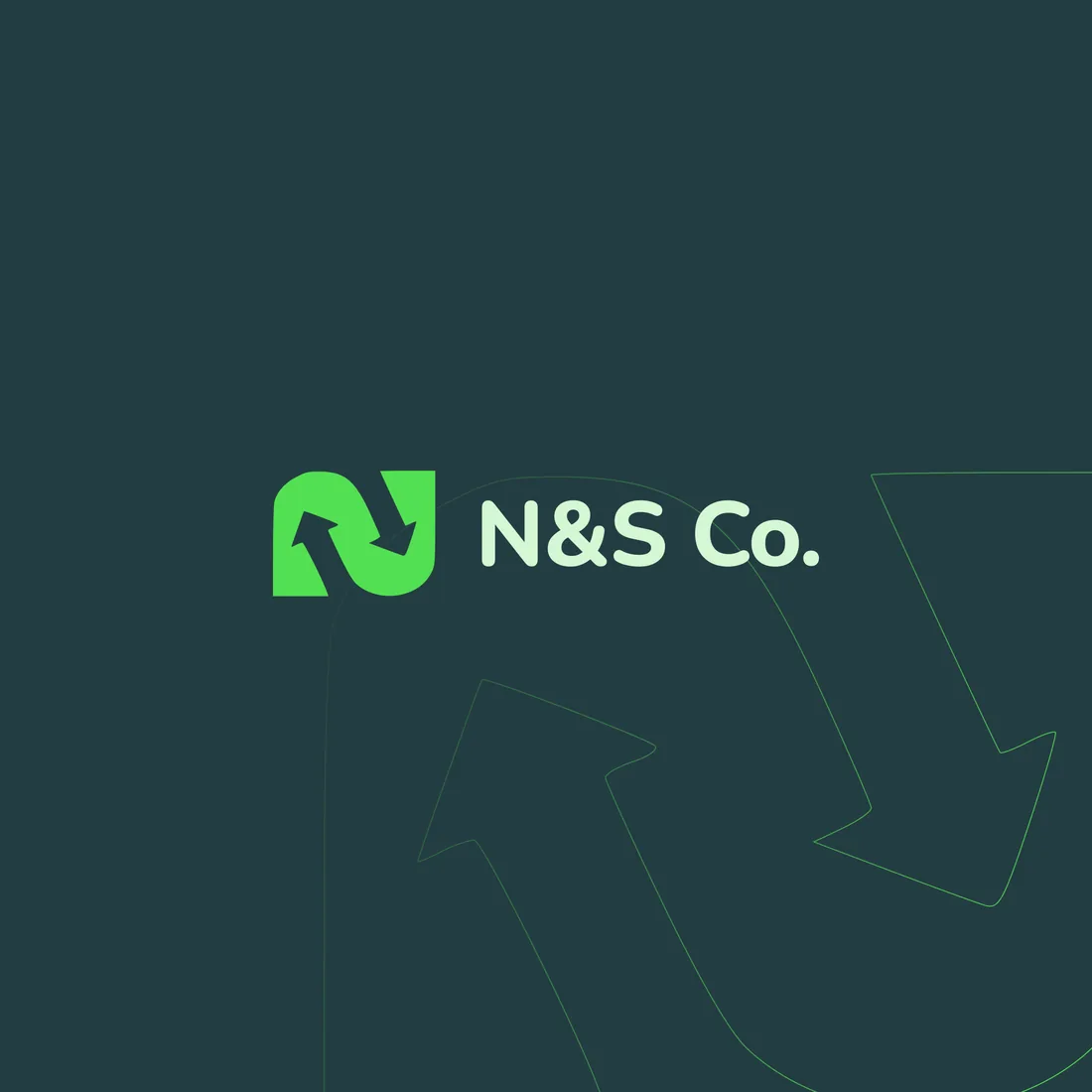 N&s Co: Profile