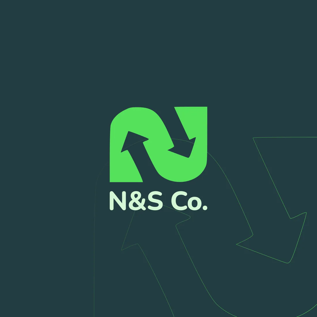 N&s Co: Profile